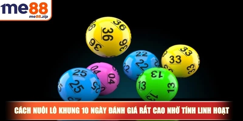 Cách nuôi lô khung 10 ngày - Bí quyết thu hút người chơi 2 Cách nuôi lô khung 10 ngày được đánh giá rất cao nhờ tính linh hoạt