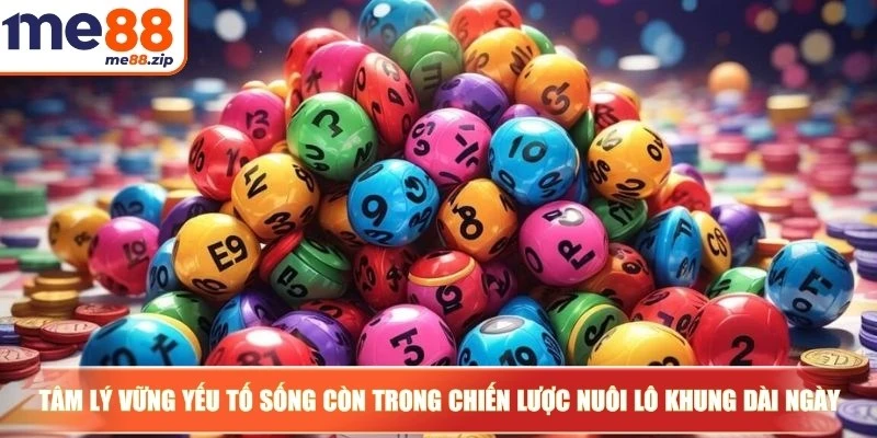 Cách nuôi lô khung 5 ngày hiệu quả cho anh em bet thủ 3 Tâm lý vững là yếu tố sống còn trong chiến lược nuôi lô khung dài ngày