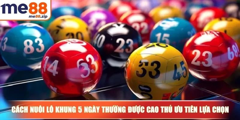 Cách nuôi lô khung 5 ngày hiệu quả cho anh em bet thủ 2 Cách nuôi lô khung 5 ngày thường được các cao thủ lâu năm ưu tiên lựa chọn